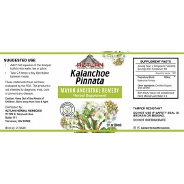 Kalanchoe Herbal Tincture 2oz Liquid Plant Extract Natural Botanical Supplement Antioxidant Support Wellness Dropper Herbal Extract Dietary Supplement
