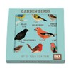 Garden Birds Coasters (set Of 4)