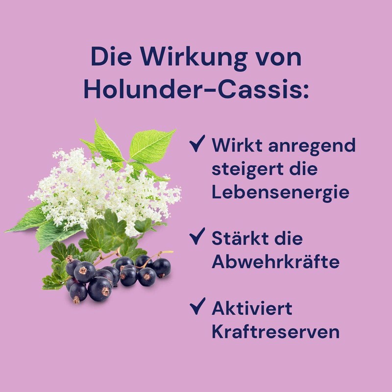 Spitzner Sauna Infusion Wellness Elderberry Cassis (190 ml) Concentrate