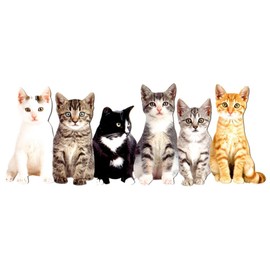 Six Kittens Die Cut Cat Blank Card