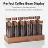 Coffee Bean Storage Tubes with Walnut Wood Stand Lid Glass