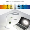 wasser 71 LED Desk Light, Stepless Dimming, Flexible Arm, Adjustable