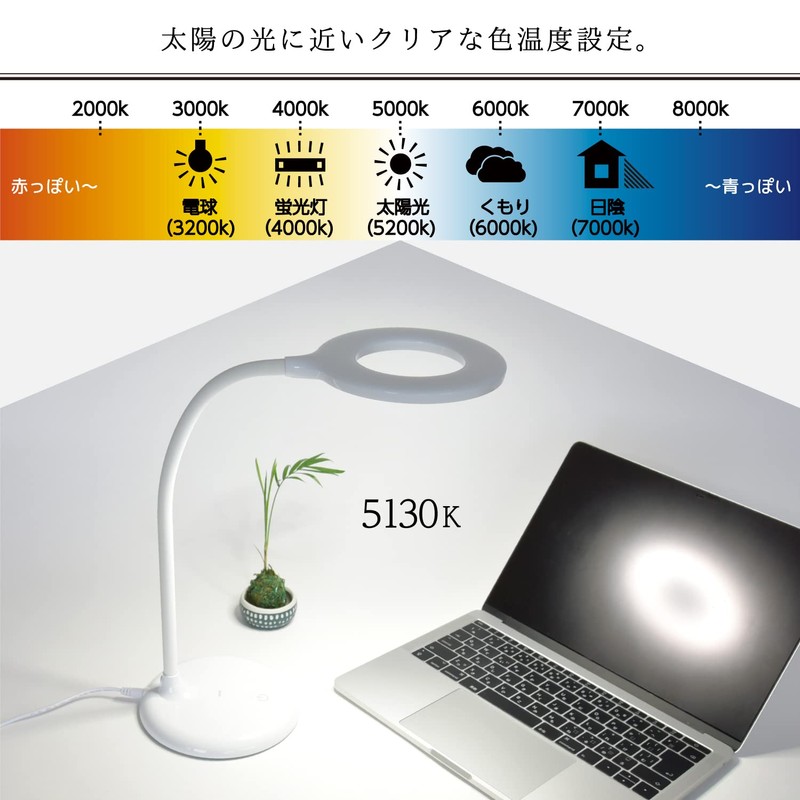 wasser 71 LED Desk Light, Stepless Dimming, Flexible Arm, Adjustable