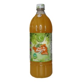 Jugo Verde Santo Magey Con Curcuma Michoacan Asado Paq 4