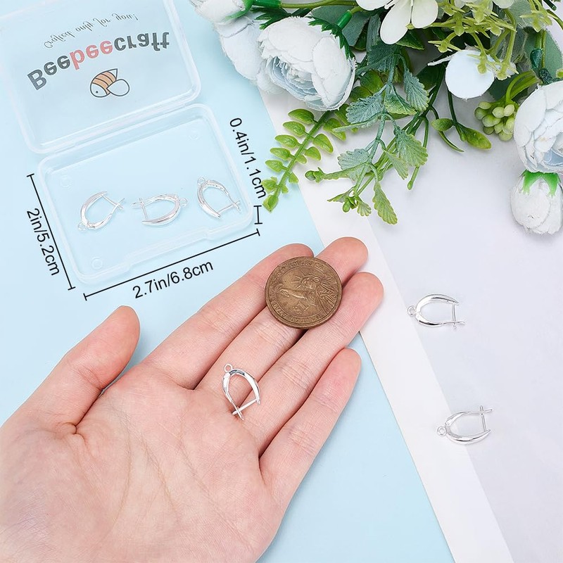 Beebeecraft 1 Box Earring Hooks Rhodium Plated, Brass