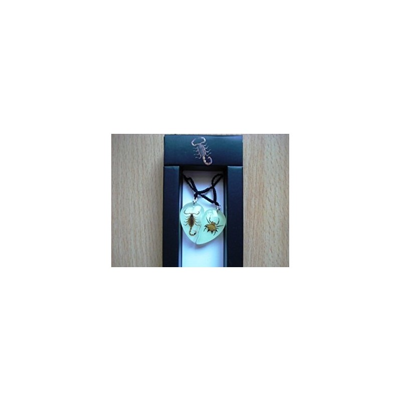 The Real Insect Scorpion & Spiny Spider Neckace