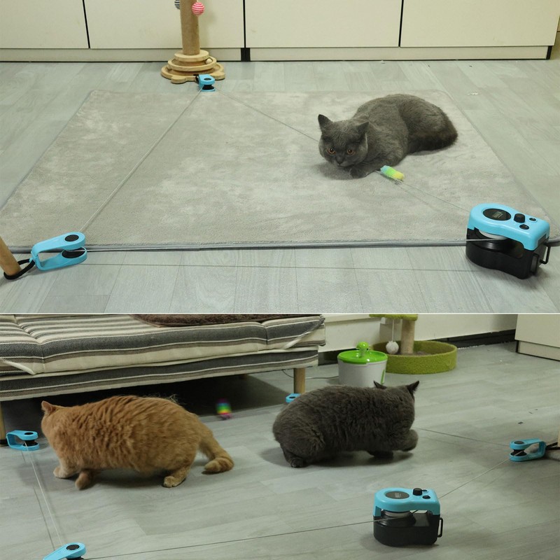 Cat Toys for Indoor Cats, Interactive Cat Toy Chasing Running