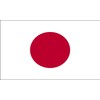 Robelli Multi Nation World Country 5 x 3 ft Flags