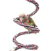Parrot Rope Boing - Spiral Rope Swing (Large)