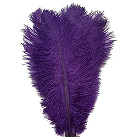 CENFRY 10pcs Ostrich Feathers 10-12inch Plumes for Wedding Centerpieces Home Decoration (Purple)