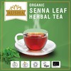 Ausha Senna Tea - 20 Bags | Laxative for Constipation