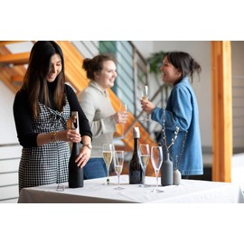 Rabbit Champagne Opener, Fits Bottle Sizes, Gold