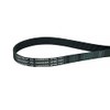 Ariston Hotpoint Indesit C00300793 Whirlpool 482000023435 1991PH8E Tumble Dryer Belt