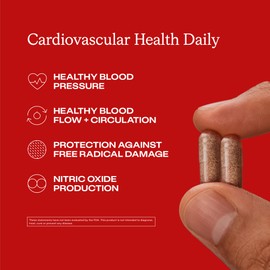 Humann Cardiovascular Health Daily, 4-in-1 Vascular & Blood Pressure Support, Grape Seed Extract Capsules & Hyaluronic Acid Circulation Supplements, Plant-Based Non-GMO, 60 Capsules