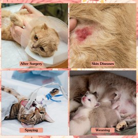 Yuanchu Cat Recovery Suit, Breathable Cat Surgery Recovery Suit Abdominal Wounds or Skin Diseases Surgical Onesie Jumpers for Cats Only Anti Licking Kitten Coat after Spaying(L)