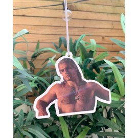 Geralt of Rivia Witcher Car Air Freshener | Forest Rain Scented | Henry Cavill Car Decoration | Unique Fresheners | Funny Novelty Gift