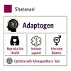 Shatavari 800mg 90 Cpsulas Organic India Hormonal Sin Sabor Vegano