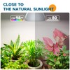 Barrina LED Grow Light Bulb with Timing and Hanging System,