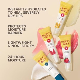 Burt's Bees Rescue - Alivio labial con manteca de karité y equinácea, 100% origen natural, 0.35 onzas (el paquete puede variar)