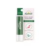 Lip balm moisture moisture retention extremely dry lip care mild vegan lip balm 4.2g 2 pieces / 립밤 모이스처 보습 유지 극건조 입술케어 마일드 비건 립밤 4.2g 2개