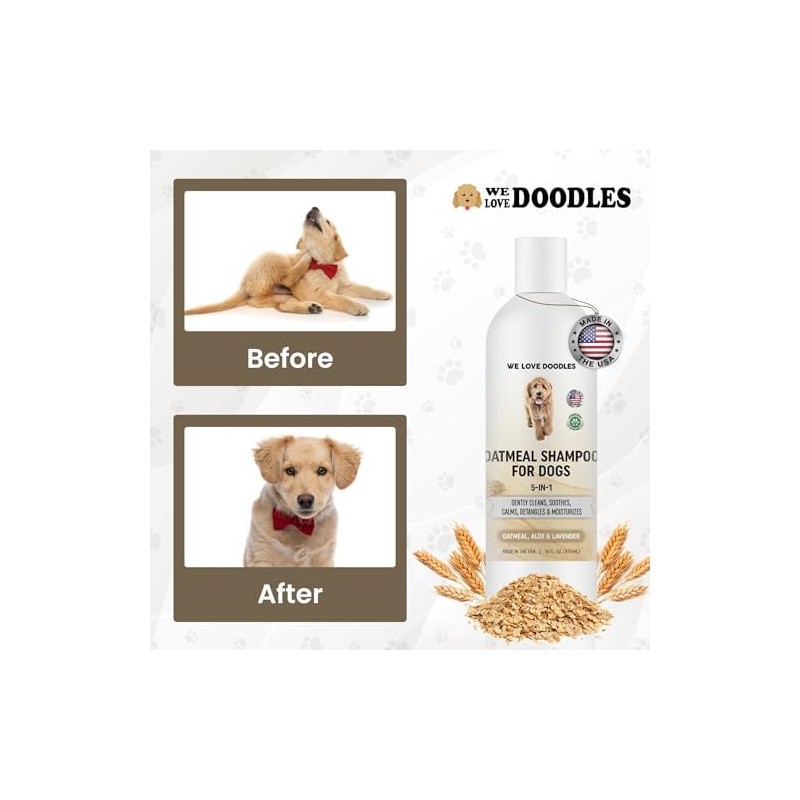 We Love Doodles- Champú de Avena Premium 5 en 1