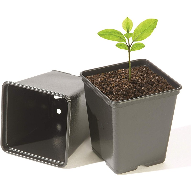 Bosmere Replacement Vegetable Pots, 9cm Square, Pack of 18, N326