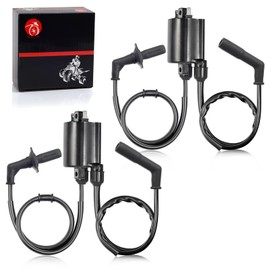 MOTO1988 2set of Ignition Coil & Spark Plug Cap For Honda Shadow 1100 Shadow Aero 1100 Spirit 1100 Sabre 1100 ACE 1100 VT1100 1987-2007