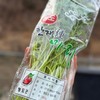 미나리 200g x 1봉 Minari 200g x 1 package