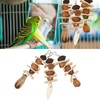 Parakeet Beak Stone Parrots Trimming Chew Toys Set Bird Nuts