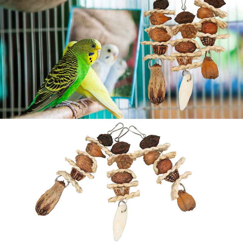 Parakeet Beak Stone Parrots Trimming Chew Toys Set Bird Nuts