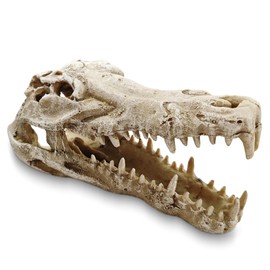 Ganrami Dinosaur Skull Aquarium Decor – Ideal for Fish Tank Decorations, Terrarium Decor, Aquarium Ornaments, and Bearded Dragon & Gecko Tank Accessories, Gift for Reptile & Fish Lovers