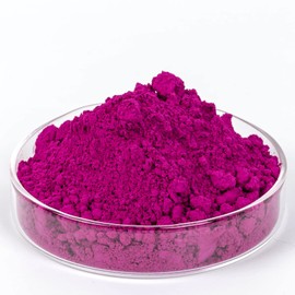 GOODTAKE Concrete Pigment, Rose Red Powdered Color Iron Oxide Powder for Concrete, Grout, Cement, Mortar, Plaster Clay, Lime, Tile, Masonry, Paint (16 oz, Rose Red)