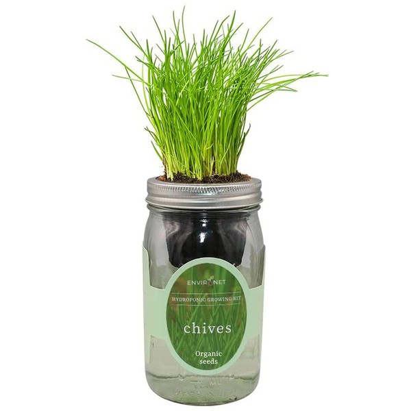 Environet Hydroponic Herb Growing Kit, Self-Watering Mason Jar Herb Garden