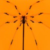 iX-brella Reverse Reverse Opening Fiberglass Pocket Umbrella with Coloured Spokes,