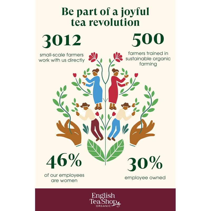 English Tea Shop Organic Advent Calendar Sachet - 25 Tea