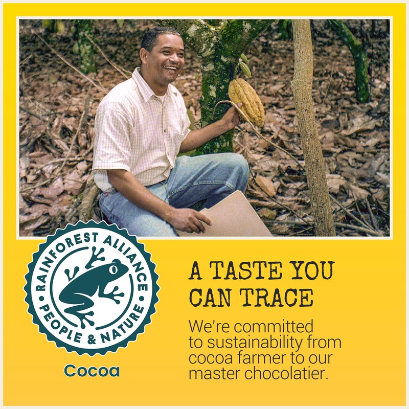 Chocolove Toffee & Almond Milk Chocolate Bars | 33% Cocoa