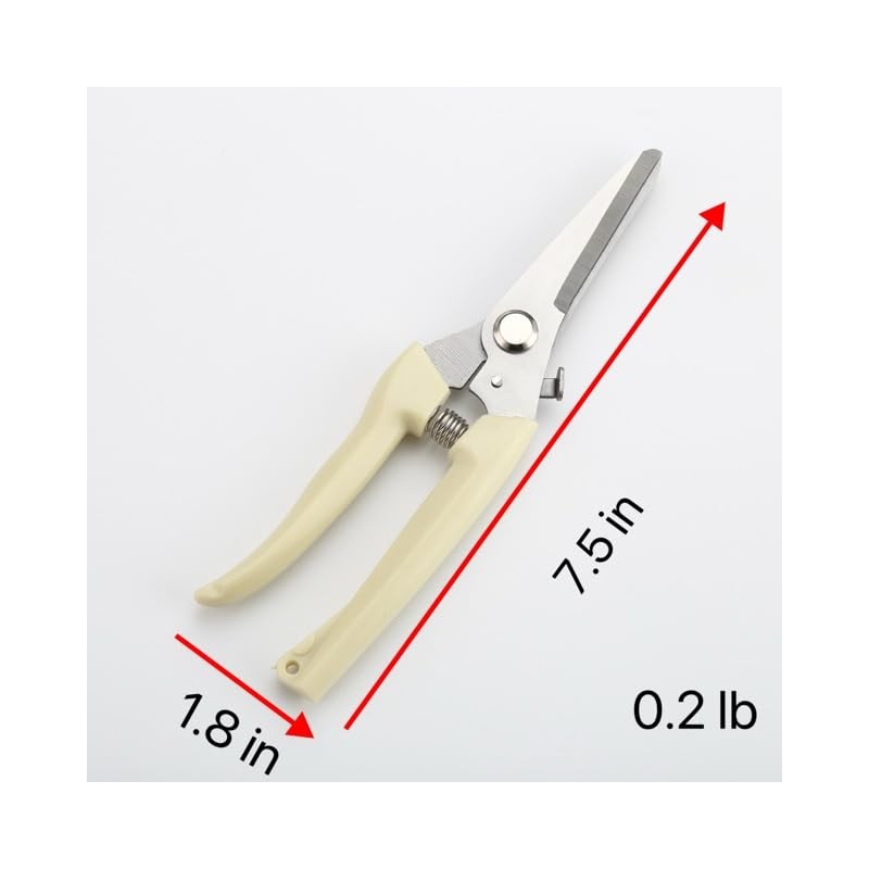 Mintboom Garden Scissors for Flowers and Fruits, Transplant scissors, Bonsai