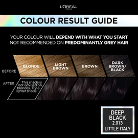 L'Oréal Paris Permanent Hair Colour, Long-Lasting Shine and Intense Colour, For up to 8 Weeks, Preference Vivids (Colorista), Deep Black 2.01, x1 pack
