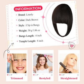 Leterly Bangs Hair Clip in Bangs,Thick French Bangs Clip in Hair Extensions Wispy Fake Bangs for Women Fringe with Temples Hairpieces for Daily Wear Dark Brown