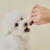 PETHROOM [FESROOM] Double Booster E/I (Eyes & Immunity) Dog Vision