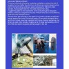Intersolar® 8MIL Safety Clear Film Window home Security Residential Commercial
