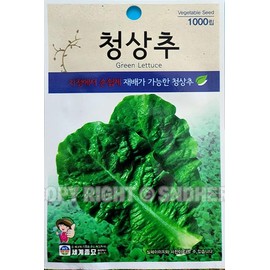 Green Lettuce Plant Seeds Korean, 1 Pack, 4 Grams (청상추)