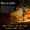Bull in China 2-Piece Cocktail Shaker Rainbow Chrome – 28