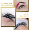 2D Eyelash Fans, Full Black Classic 1:1 Lash Extensions, C