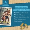 Testa Omega-3 Supplement - Vegan Based Omega 3 DHA EPA