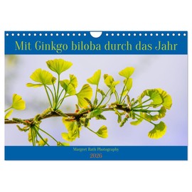 Mit Ginkgo biloba durch das Jahr (Wandkalender 2026 DIN A4 quer), CALVENDO Monatskalender