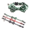 Kitten Collar, Cat Collar with Buckle and Bell, Adjustable Collar