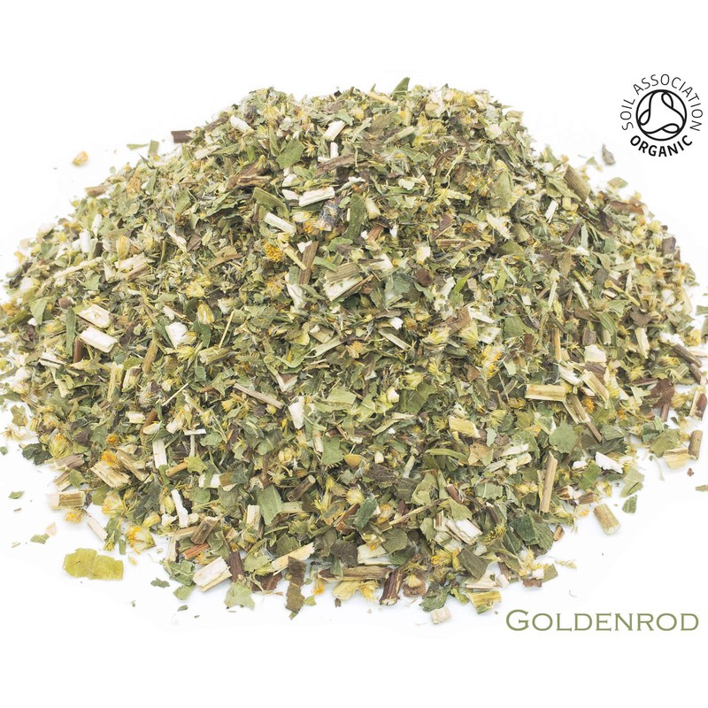 Organic Goldenrod Pure Herbal Infusion (25 Unbleached Tea Bags -