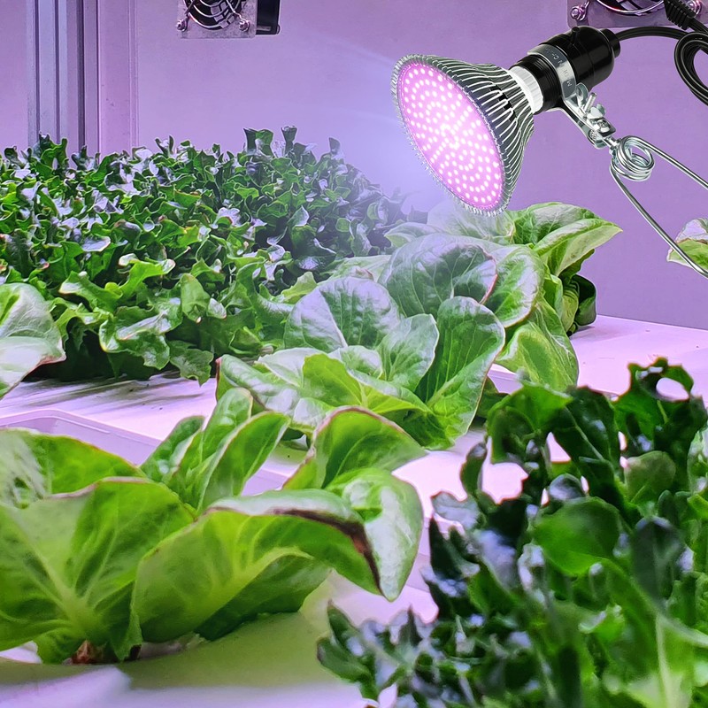 Simple Deluxe HIWKLTCLAMPSOCKETX2 2-Pack 18/2-Gauge Brooder and Heat Clamp Lamp