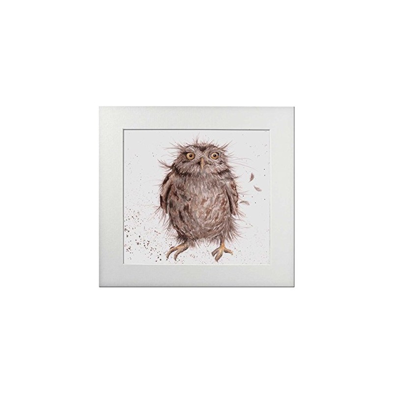 Wrendale Designs Signed Print/Owl Picture "What a Hoot"